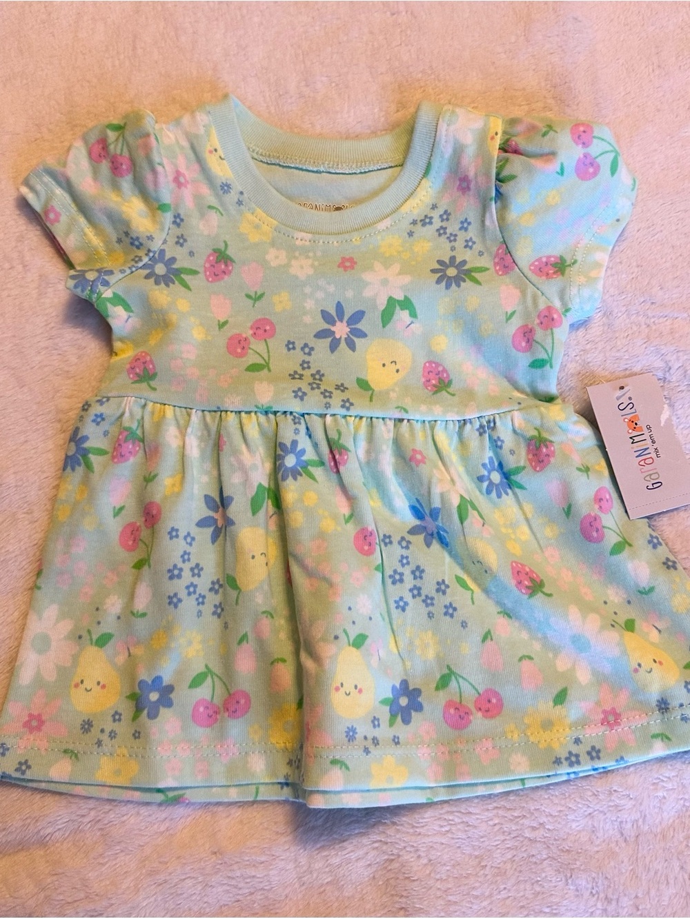 Garanimals Mint Floral & Fruit Baby Dress